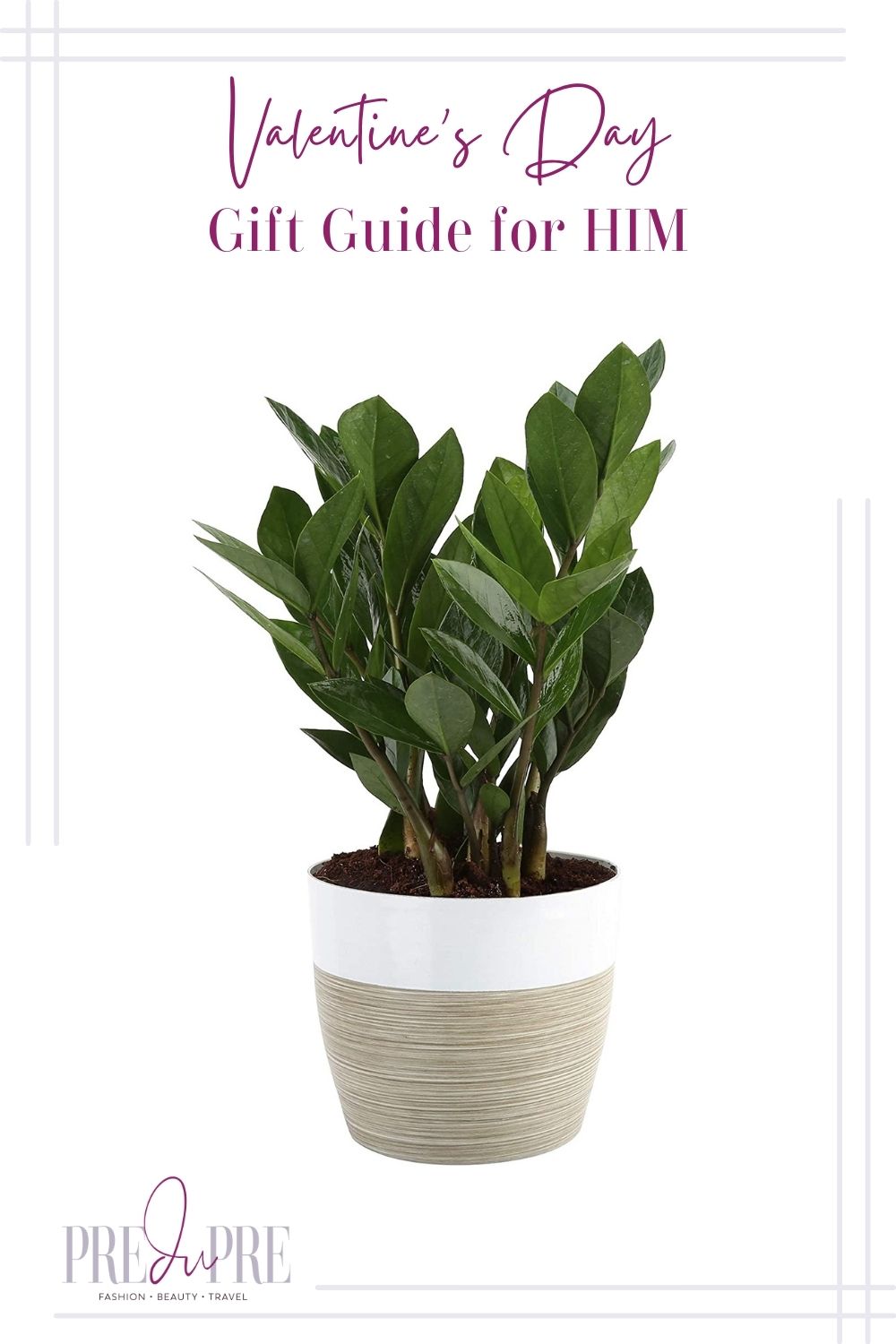 ZZ plant in a white and brown pot image with text in the center top stating "Valentine's Day Gift Guide for Him."